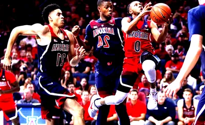 Arizona Wildcats Basketball