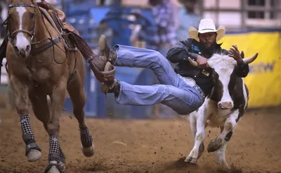 Black Rodeo