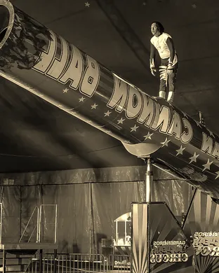 Garden Bros Nuclear Circus: Fun Factory