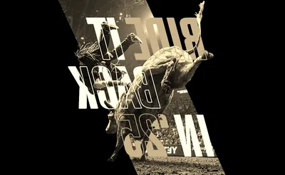 PBR World Finals
