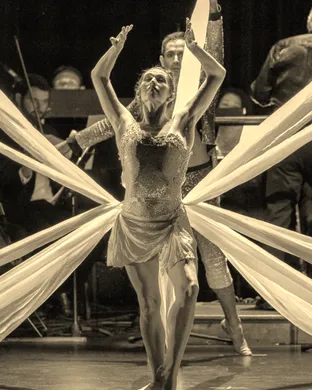 Troupe Vertigo & Phoenix Symphony