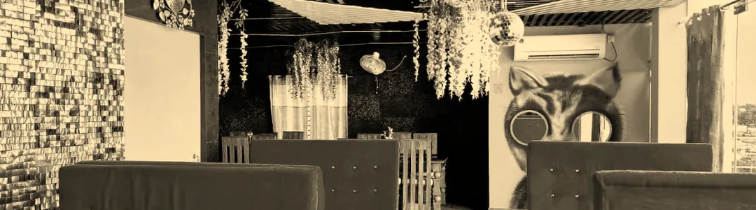 Zingara