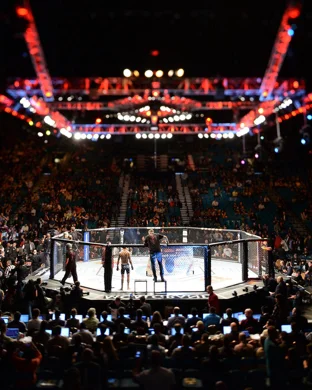 Noche UFC: Rodríguez vs. Silva