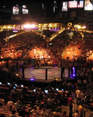 Noche UFC sports event