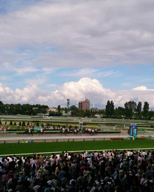 Turquoise Circuit Finals Rodeo