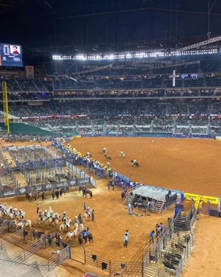 WCC Baseball - Day 4